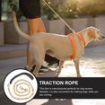 Masteelf Golden Stainless Steel Rope for Dogs Walk and Control Dog