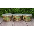 Jungle Bob Canned Dubia Roaches Preserved Feeder Insect Food for