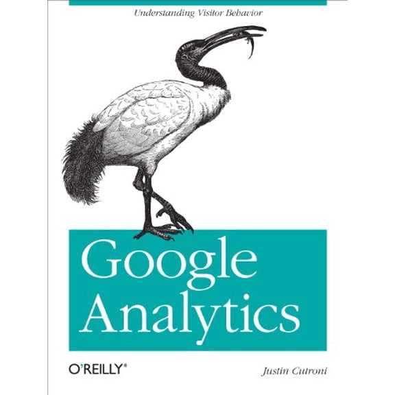 Pre-Owned Google Analytics: Understanding Visitor Behavior (Paperback) 0596158009 9780596158002