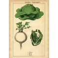 thumbnail image 5 of Letrero de hojalata vintage con diseño de granja, tomate, fresa, semillas, anuario de 1898, retro, para pared de cocina, verduras y frutas, decoración del hogar, 5 of 5