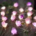 thumbnail image 3 of Natural Amethyst Crystal Color-Changing Fairy Lights, 10ft 30 LED with Remote Control. USB or Battery Operated, Decorative Geode String Lights for Bedroom, Christmas, and Spiritual Decor, 3 of 7