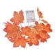thumbnail image 3 of Guirnalda de Luces LED de Hoja de Arce BuyWeek para Otoño Decoraciones de Acción de Gracias, 3 of 12