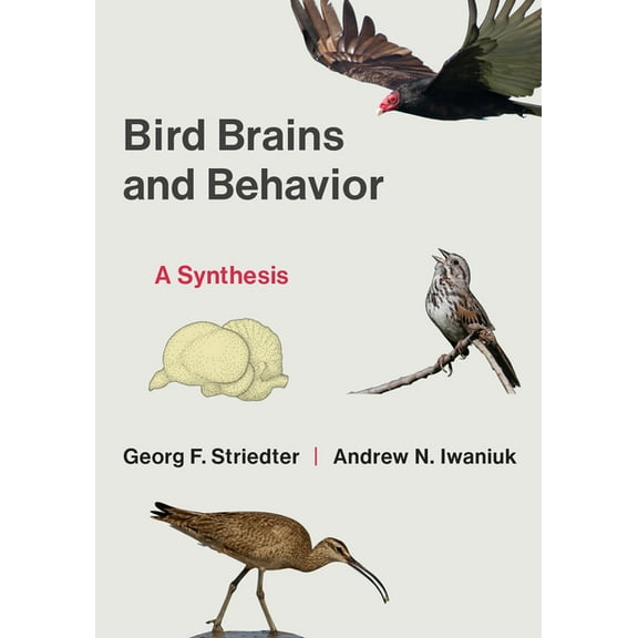 Bird Brains and Behavior: A Synthesis, (Paperback)