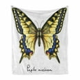 thumbnail image 1 of Swallowtail Butterfly Soft Flannel Fleece Throw Blanket, Common Yellow Papilio Machaon in Watercolors Fragile Beauty, Cozy Plush for Indoor and Outdoor Use, 60" x 80", Yellow Blue Black, by Ambesonne, 1 of 6