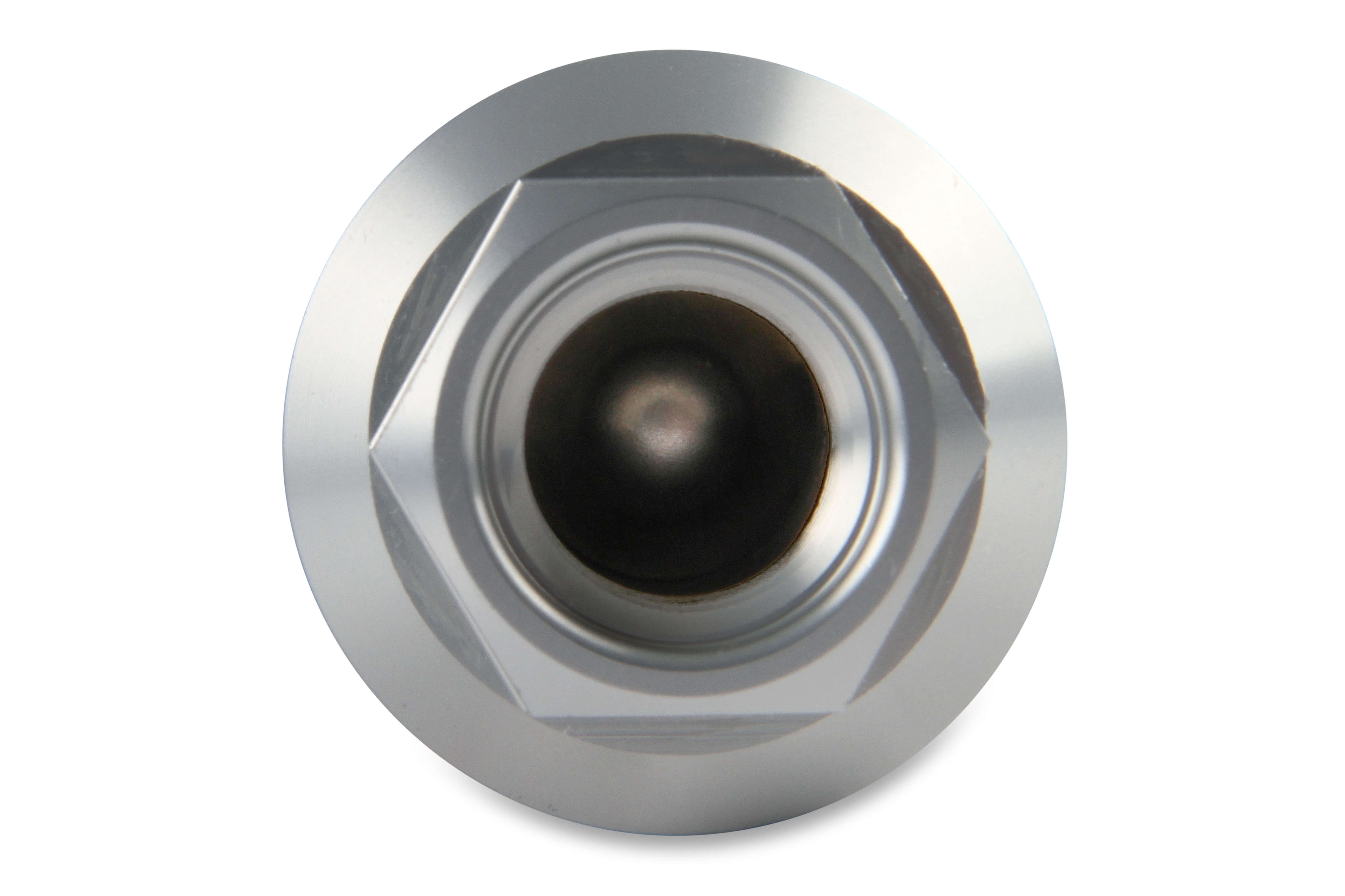 Earl's Performance 230610ERL Fuel Filter
