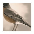 thumbnail image 1 of Robins in Reflection Art - Canvas, 1 of 10