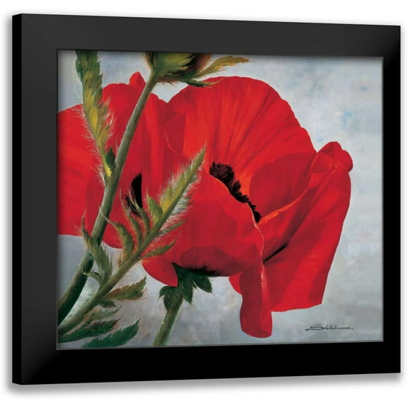 Scholnhammer, Heinz 13x12 Black Modern Framed Museum Art Print Titled - The red poppy