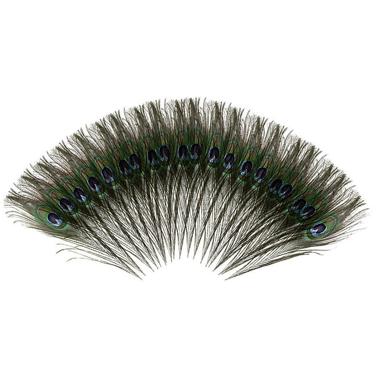  20pcs Peacock Feathers for Decoration 25-30CM Natural