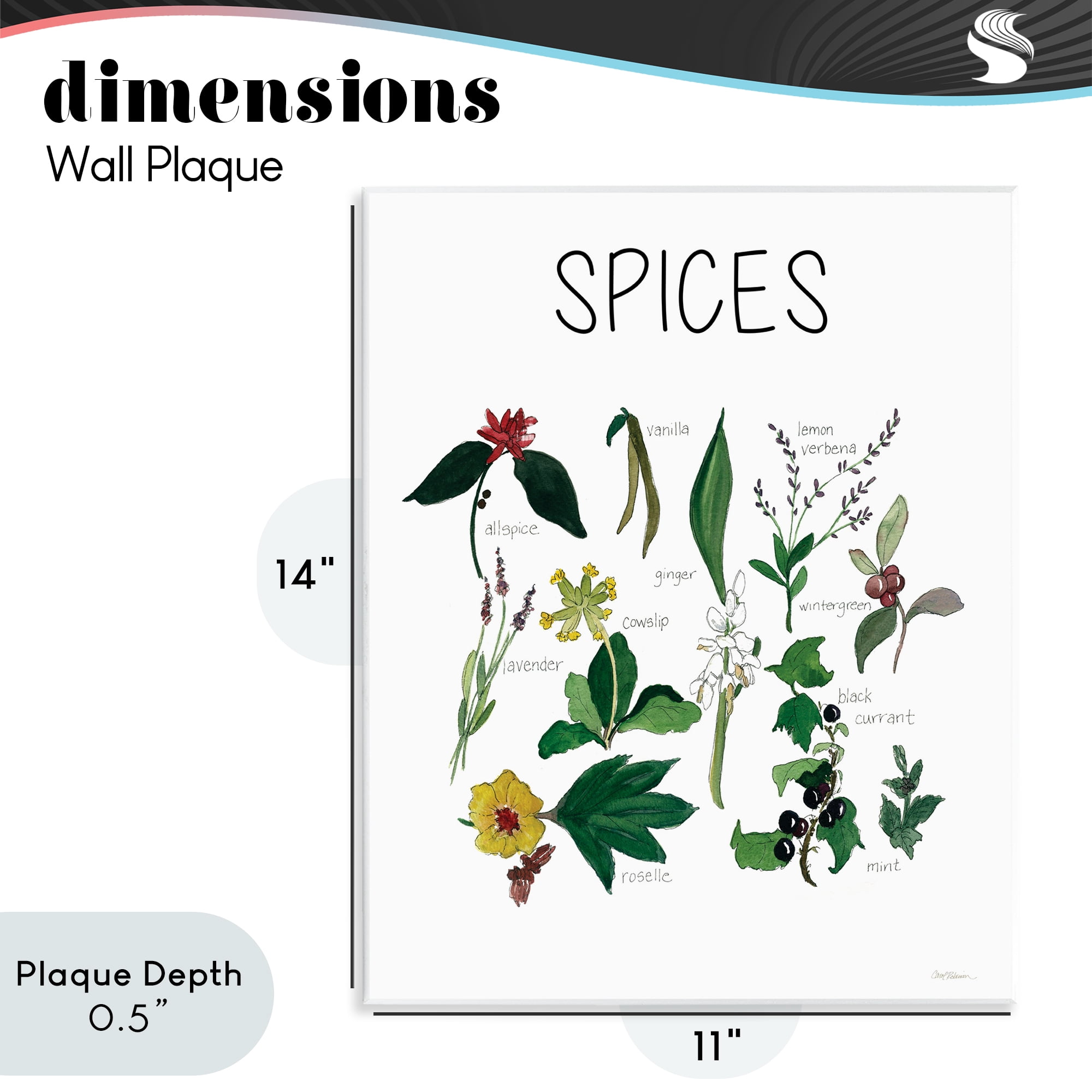 Stupell Industries Spices Identification Chart Wall Plaque Art, design by Carol Robinson