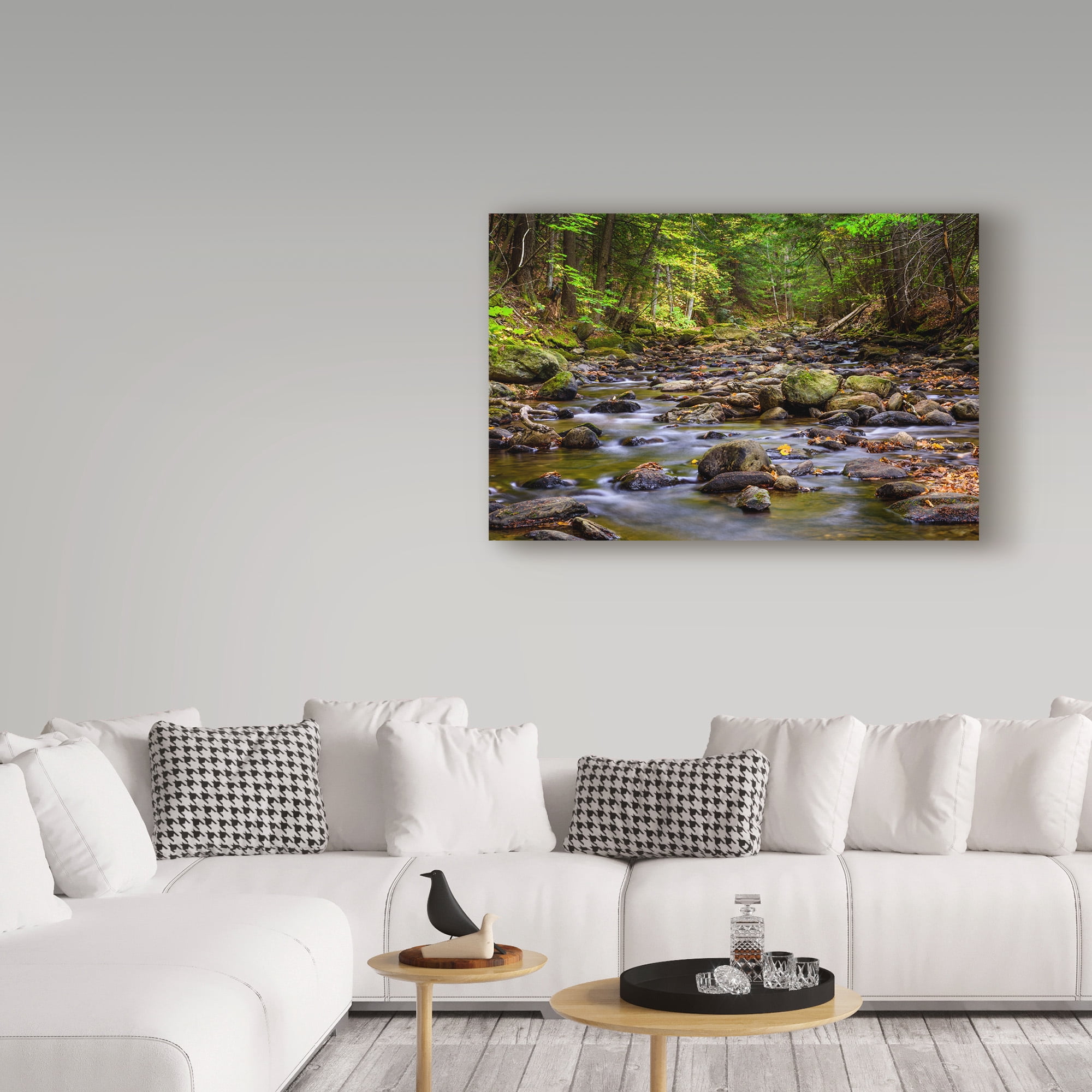 Trademark Fine Art 'Chase Brook 1' Canvas Art by Brenda Petrella Photography Llc