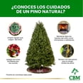 thumbnail image 4 of Árbol Natural noble 1.80 m a 2.10 m, 4 of 4