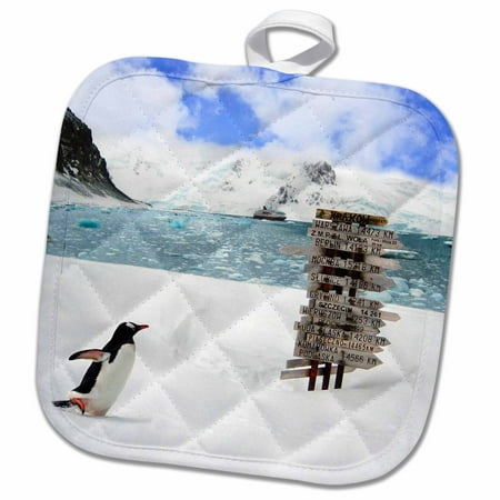 

3dRose Gentoo Penguin Arctowsky Polish Base Antarctica - AN02 MGL0041 - Miva Stock - Pot Holder 8 by 8-inch