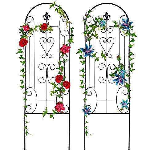 2 Pack Garden Trellis for Climbing Plants 60" x 18" Black Iron Potted