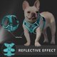 thumbnail image 5 of L Arnés para perros, chaleco de seguridad acolchado reflectante ajustable fuerte para cachorros, ropa con tirador, 5 of 5