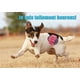 thumbnail image 3 of Juego de 10 juguetes para perros, cuerda masticable resistente para perros pequeños y medianos, que promueve la salud (multicolor), 3 of 5