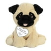 Aurora - Small Brown Precious Moments - 8" Precious Llama - Inspirational Stuffed Animal ...