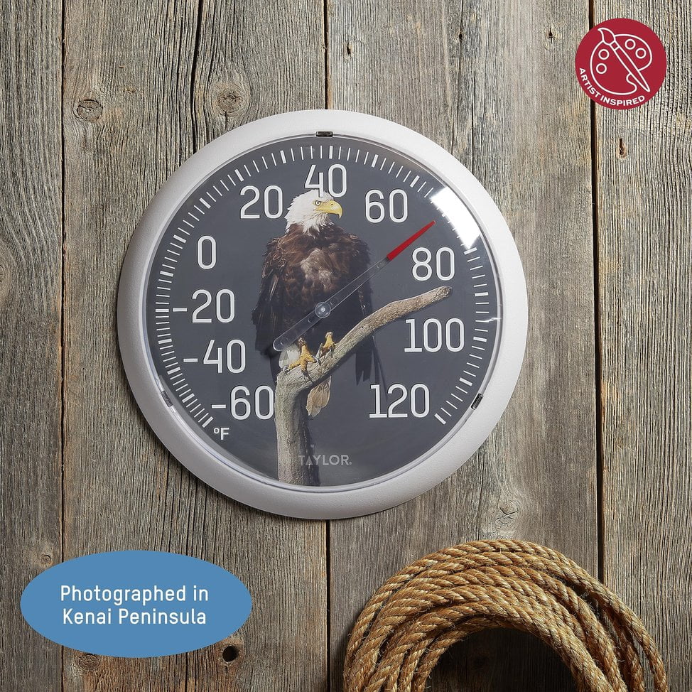 Taylor Nature Series Eagle Indoor Outdoor Dial Thermometer, Easy to Read Wall Decor for Patio, Pool, Yard, Garden or Garage, 13.25 Inch, Gray Bezel