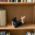 thumbnail image 5 of Mysterious Statue, New Bookshelf Decor, Resin Statue Gothic Book Shelf Decorations Elegant Queen Figure Sitting Black Robe 3D Spooky Sculpture for Garden Bookshelf, 5 of 5