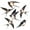 CBCJD206, variant on Bird Friendly Window Decals Static Electricity Stickers for Safety & Home Beautification Protect Bird and Beautifys