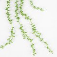 thumbnail image 2 of 5PCS Simulation Succulents Lover Tears Green Rattan Wall Hangings Artificial Plant Home Party Decor,82cm Simulation Succulents Lover Tears Green Rattan Artificial Plant, 2 of 6