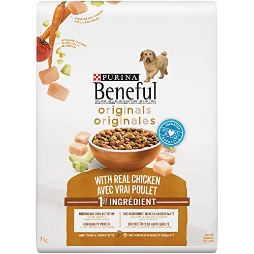 Walmart purina beneful dog sales food