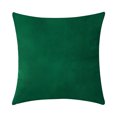 thumbnail image 1 of Funda de almohada cuadrada de terciopelo con forma de almohada, funda de almohada decorativa para sofá de color sólido, verde negruzco sidaley HA003042-03, 1 of 6