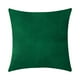 thumbnail image 1 of Inteprter Funda de almohada cuadrada de terciopelo con funda de almohada de color sólido para decoración de sofá Decoración del hogar verde oscuro Inteprter HA003042-03, 1 of 1