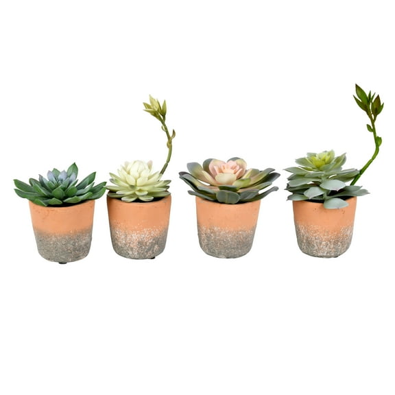 Vickerman Set of 4 Assorted 7" Artificial Potted Succulents, Set of 4