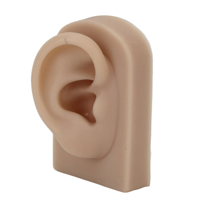 Fake Ear Model, Soft Silicone Human Ear Model Right Ear Flexible Multi Purpose For Earrings Display For Acupuncture Practical Training Light Complexion,Dark Complexion,Brown