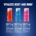 thumbnail image 2 of Red Bull Editions Variety Pack, 8.4 Fluid Ounce (Pack of 18), 2 of 5