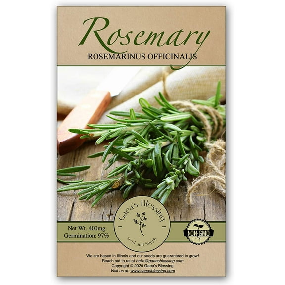 Gaea's Blessing Seeds - Rosemary Seeds - Heirloom Non-GMO Seeds with Easy to Follow Instructions - Open-Pollinated, Untreated - 1 Pack