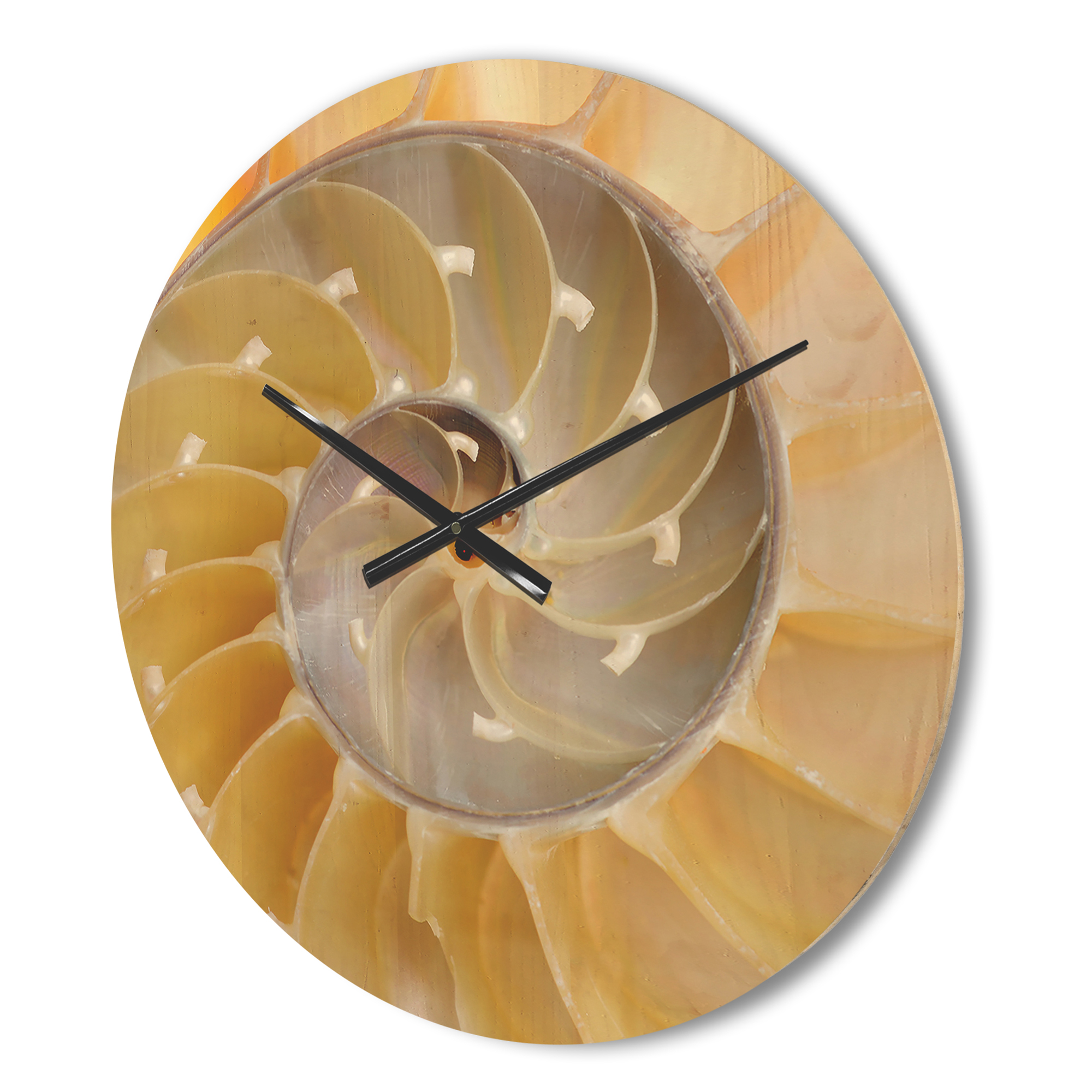 Designart 'Isolated Nautilus Sea Shell' Modern Wood Wall Clock