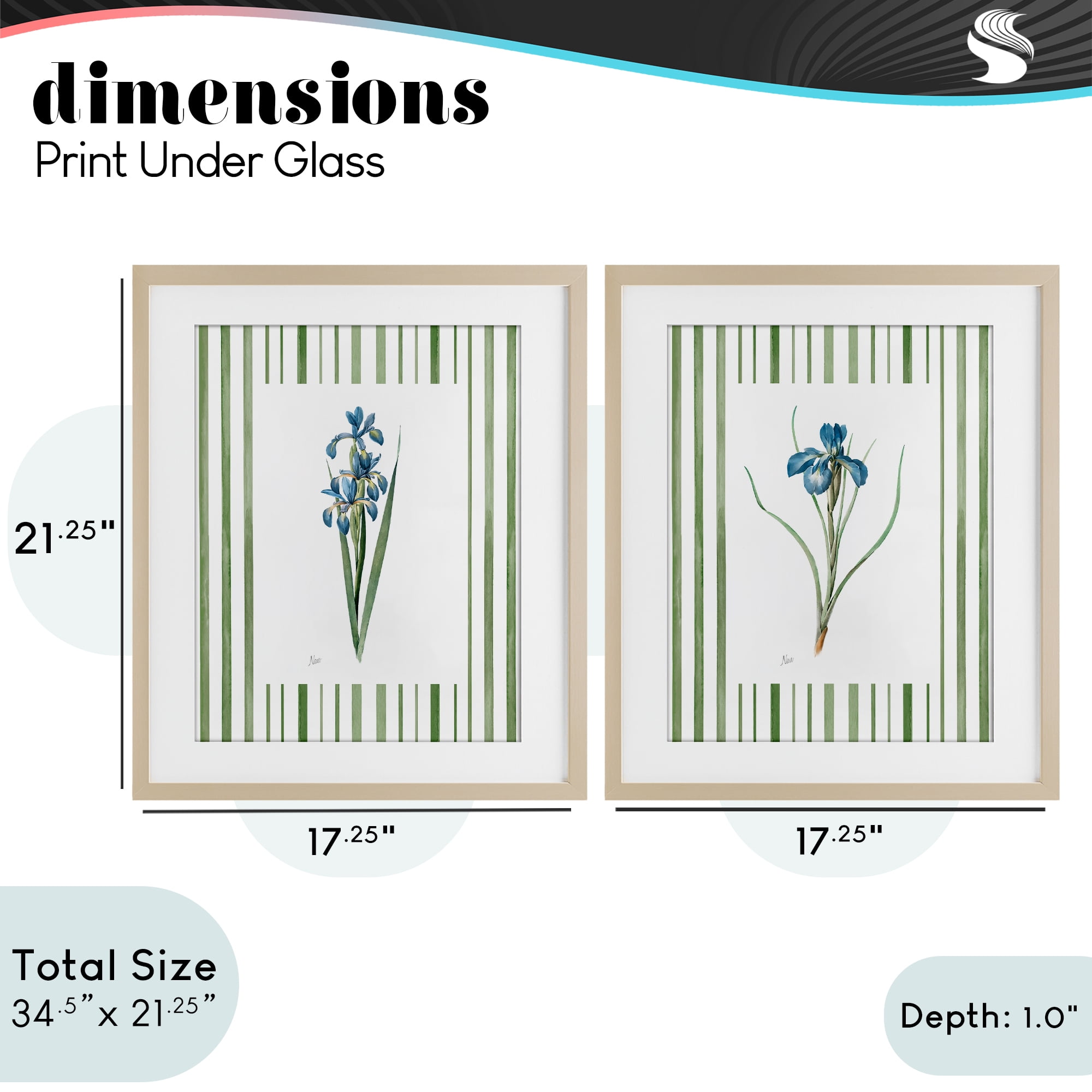 Stupell Industries Irises And Stripes 2 Piece Birch Framed Print Under Glass Set, design by Nan