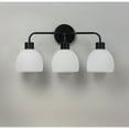 thumbnail image 2 of Coraline 3 - Light Black Modern / Transitional Incandescent Glass And Steel Wall Sconce, 2 of 5