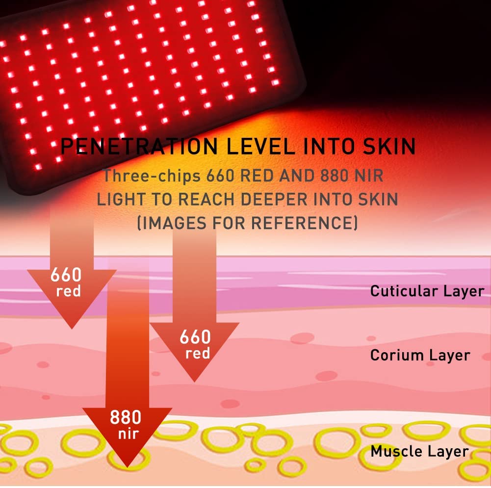 DGYAO Red Light Therapy Belt Pain Relief & Weight Nepal Ubuy