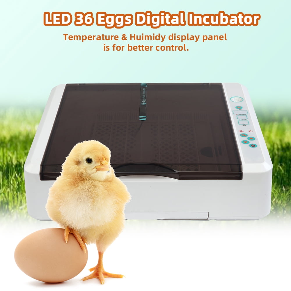 Kepooman 36 Egg Poultry Hatcher Machine with LED Light, Egg Incubator with Automatic Egg Turner, Pull-out Water Tray, White & Gray Kepooman 36 Egg Poultry Hatcher Machine with LED Light, Egg Incubator with Automatic Egg Turner, Pull-out Water Tray, White & Gray