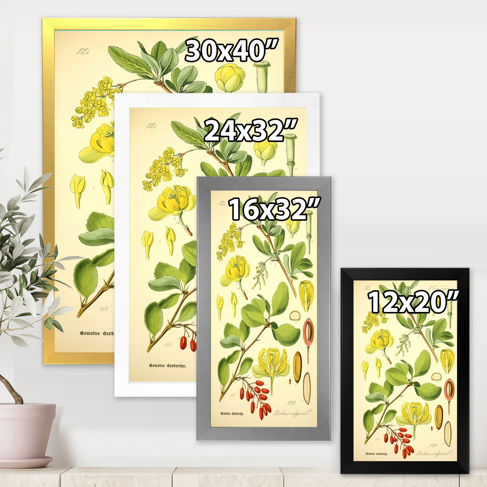 Designart 'Ancient Plant Life II' Traditional Framed Art Print