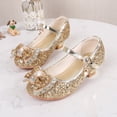thumbnail image 2 of Linfrsh Princess Shoes Toddler Girls Dress Shoes Low Heel Princess Flats Flower Wedding Party Glitter Shoes for Kids Toddler(Gold,Size1.06), 2 of 6
