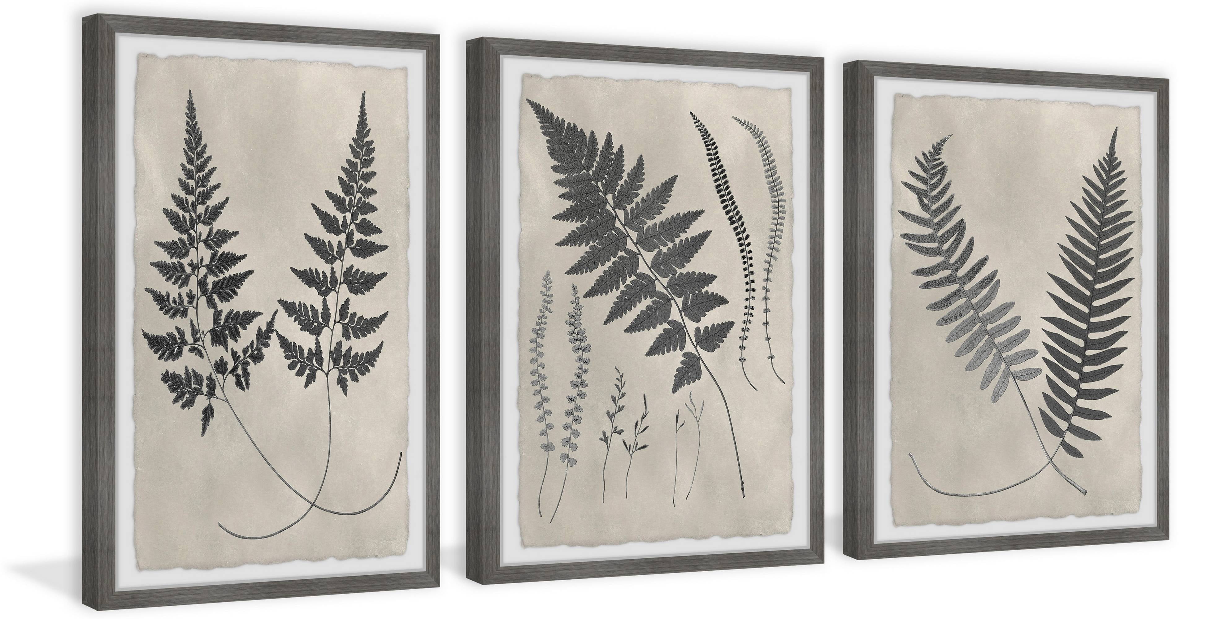 Marmont Hill Vintage Fern Study II Triptych