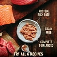 thumbnail image 6 of Wellness CORE Tiny Tasters Tuna & Salmon, 1.75-Ounce (Pack of 12), 6 of 7