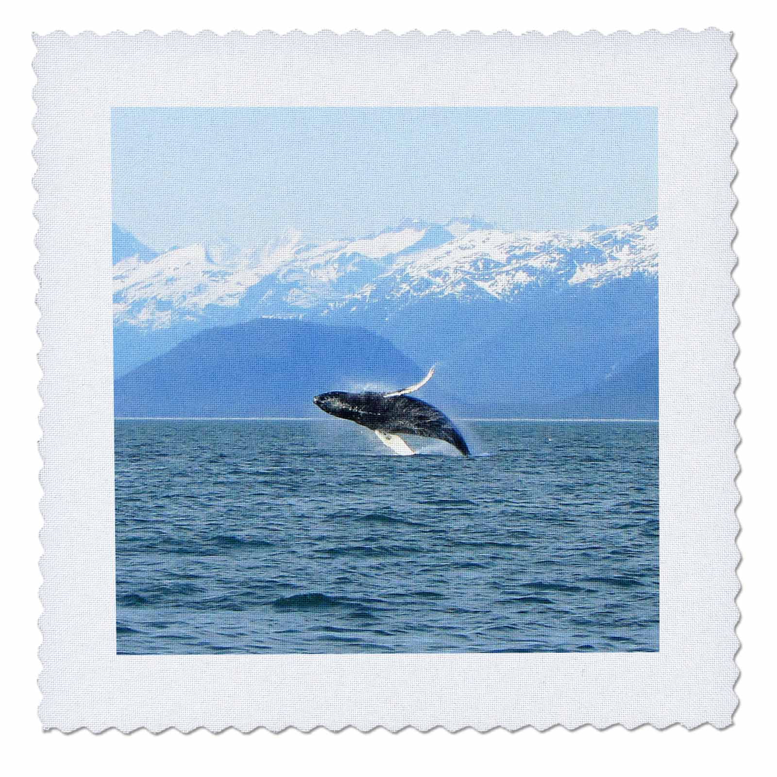10 by 10-Inch qs_21600_1 3dRose Humpback Whale Tosses and Turns in The Lynn Canal Southeastern Alaska Quilt Square