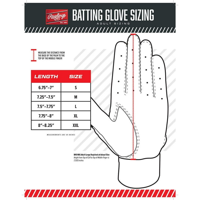 Spiderz batting glove size chart hotsell