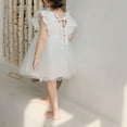 thumbnail image 5 of Toddler Dresses 2024 New Summer Fashion Sleeveless Mesh Princess Korean Style Little Sweet Mesh Clothes White Elegant Kids Outfits 6 Months-12 Months, 5 of 7