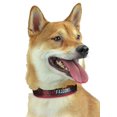 thumbnail image 1 of Zubaz NFL Team Adjustable Pet Collar for Dogs & Cats Atlanta Falcons Large, 1 of 3