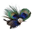 thumbnail image 1 of tredstone Plume Femmes Clip de Remplacement de Cheveux Filles Fascinator Ornement, 1 of 6