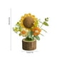 thumbnail image 3 of Flores de Ganchillo, Plantas Artificiales En Maceta para Decorar El Escritorio de La Oficina o El Salpicadero Del Coche. Regalos para Mujeres. Flores Tejidas a Mano para Decoración Del Hogar., 3 of 6