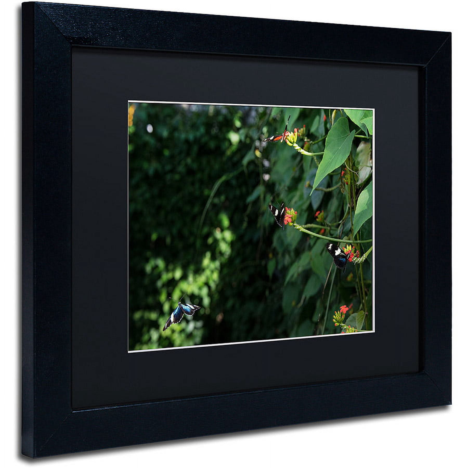 Trademark Fine Art "Butterflies" Canvas Art by Kurt Shaffer, Black Matte, Black Frame