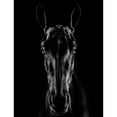 thumbnail image 2 of Carvalho, Jackson 19x24 Black Ornate Wood Framed with Double Matting Museum Art Print Titled - The Horse in Noir, 2 of 4
