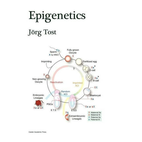Epigenetics (Hardcover)