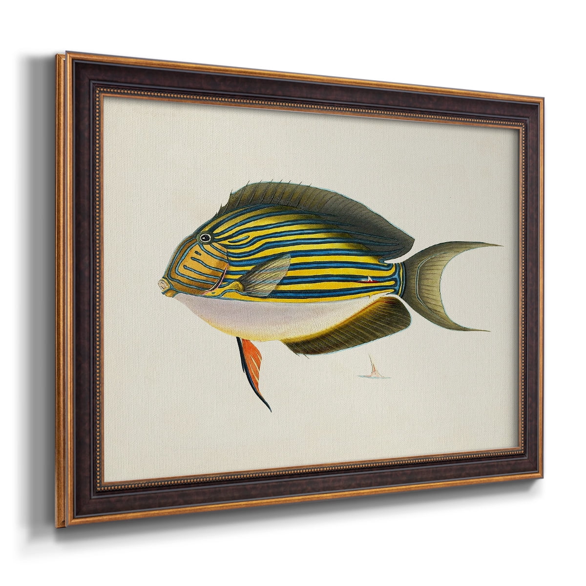 Tropical Fish Collection I Premium Framed Canvas- Ready to Hang